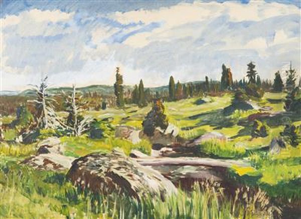 A Brook In The Mountains - view 1
