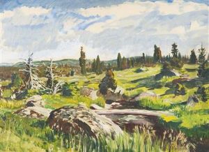 A Brook In The Mountains by Antonin Hudecek