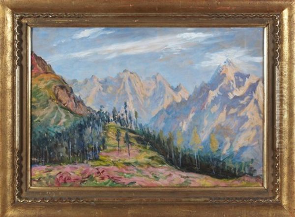 Tatry - view 1