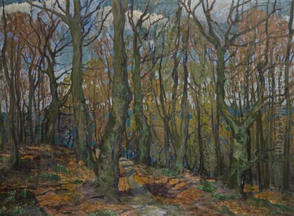 Autumn Forest - view 1