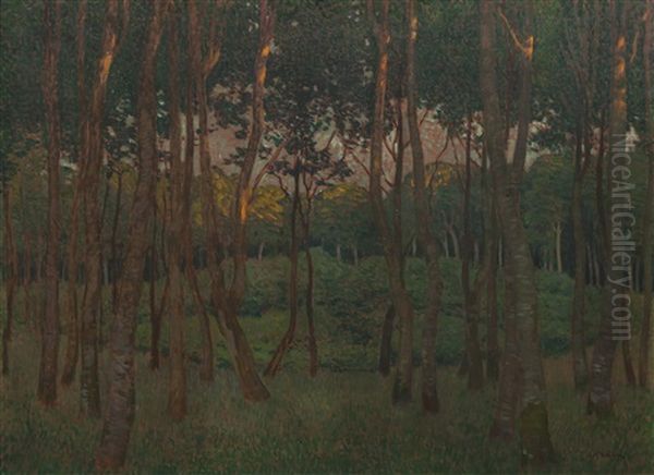 Floodplain Forest - view 1