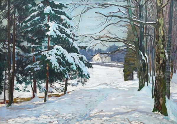 Zasnezeny Park - view 1