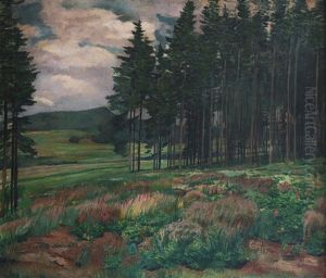 Meadow by Antonin Hudecek
