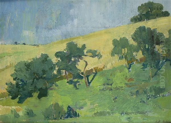 Sommerimpression - view 1