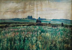 Meadows by Antonin Hudecek