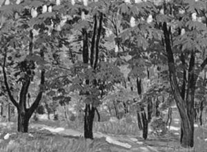 Kastanienwaldchen Kastanienwaldchen