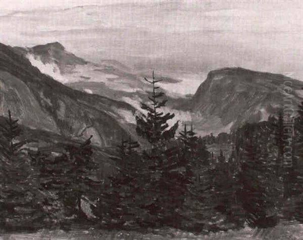 Gebirgslandschaft Mit Tannen - view 1