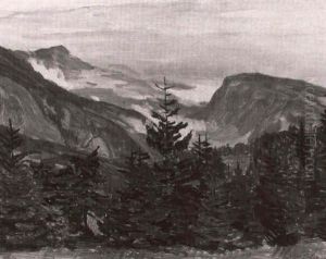 Gebirgslandschaft Mit Tannen
