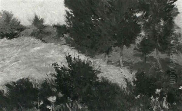 Fruhlingslandschaft - view 1