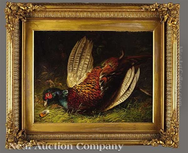 Still Life With Pheasant And Still Life With Rock Dove (pair) - view 1