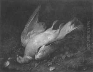 Still Life With A Pigeon