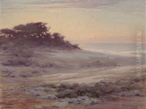 Sand, Trees And Skies Near Monterey