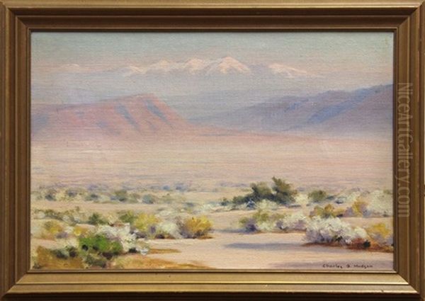 Palm Desert - view 1