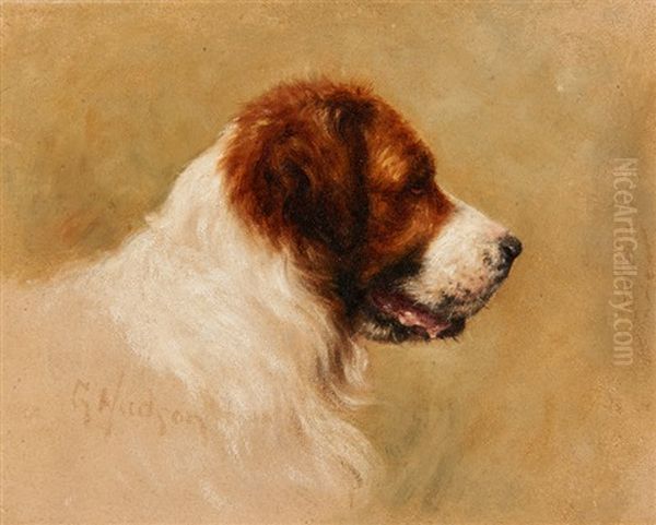 St. Bernard - view 1