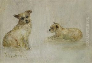 The Terrier The Terrier