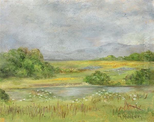 Spring Fields - view 1