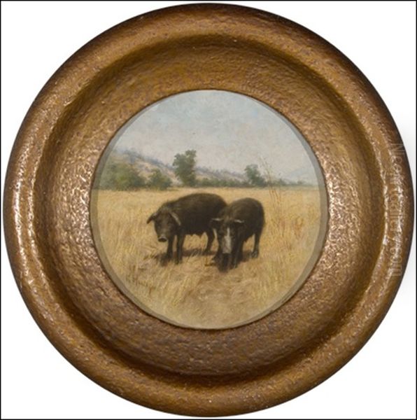 Hogs - view 1