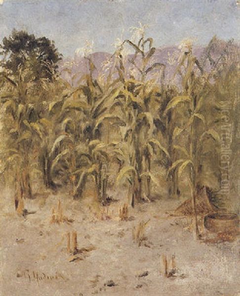 The Cornfield - view 1