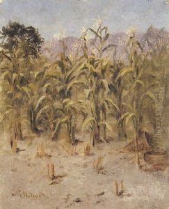 The Cornfield by Grace Carpenter Hudson
