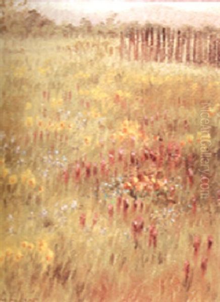 Indian Paint Brush - view 1