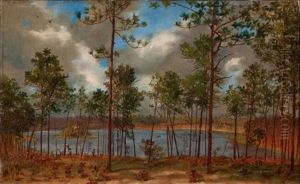 View From The Woods by John Bradley Hudson