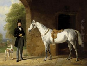 Rider With Horse