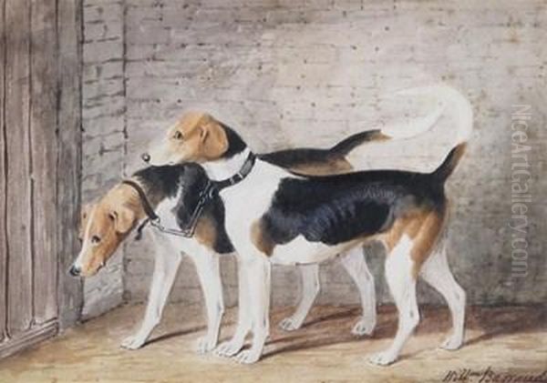 Two Hounds In A Stable - view 1