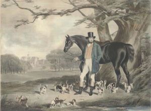 Mr Maynard And Her Majesty's Beagles