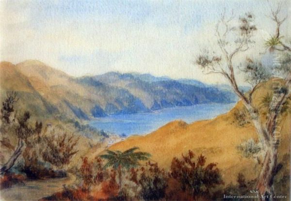 Wellington From Brooklyn - view 1