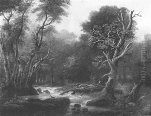 Paysage De Riviere Dans Une Foret