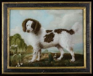 King Charles, Spitz Allemand Noir Et Blanc, Caniche And Caniche Bicolore