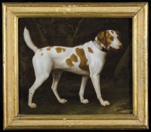 King Charles, Braque Saint-germain, Chien D'eau Romagnol And Foxhund