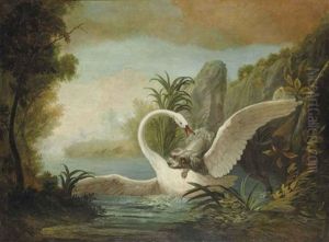 Epagneul Attaquant Un Cygne