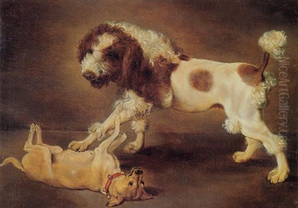 Two Dogs Playing - view 1