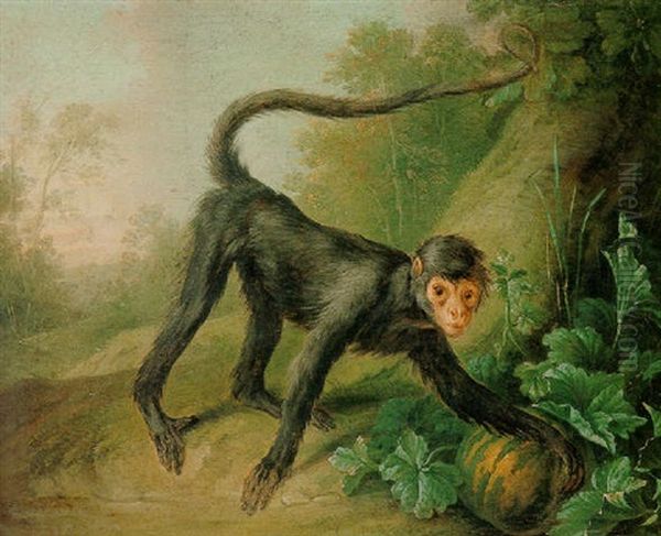 A Wooded Landscape With A Black Spider Monkey At The Base Of A Tree - view 1