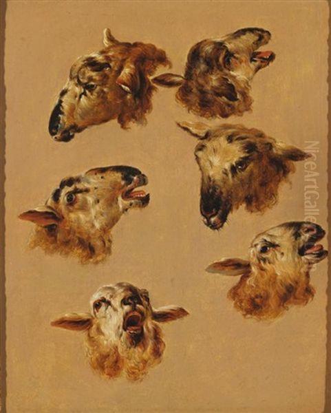 Etude De Tetes De Chevres (study) - view 1