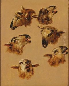 Etude De Tetes De Chevres (study) by Jean Baptiste Huet