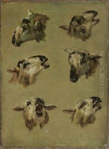 Tetes De Moutons (study)