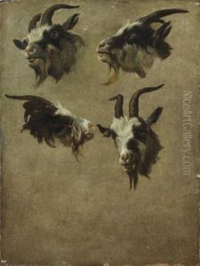 Tetes De Boucs (study) Tetes De Boucs (study)
