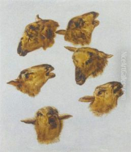 Etudes De Tetes De Moutons by Jean Baptiste Huet