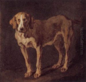 A Hound by Jean Baptiste Huet