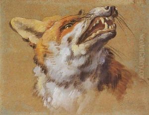 Tete De Renard Tete De Renard