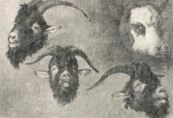 A Study Of The Heads Of Goats And A Cow - view 1