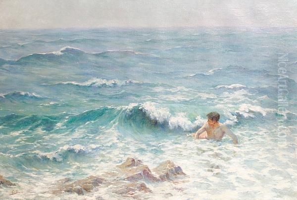 A Summer Swim - view 1