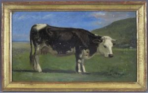 Vache Normande