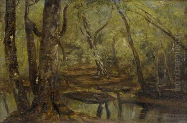 Foret - view 1