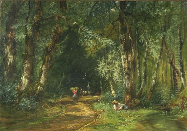 Route Dans La Foret De Fontainebleau - view 1