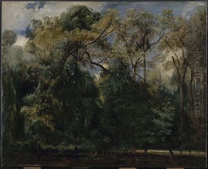 Les Ormes De Saint-cloud by Paul Huet