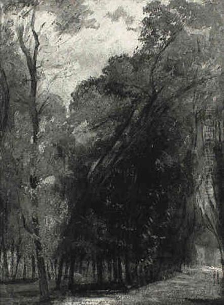Allee D'ormes Dans Le Parc De Saint-cloud - view 1