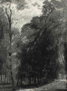 Allee D'ormes Dans Le Parc De Saint-cloud